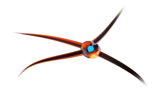 NANS Booth Video preview image