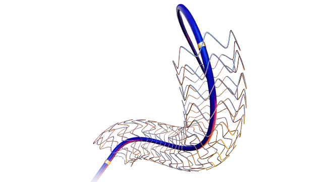 PTFE Covered Stent preview image